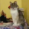 Отзыв от Оля Лазарева